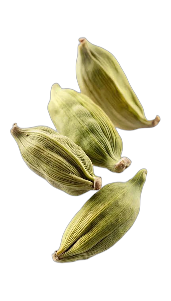 Indian Cardamom