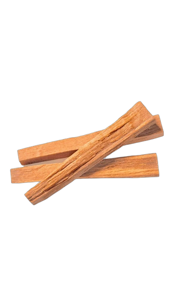 Mysore White Sandalwood