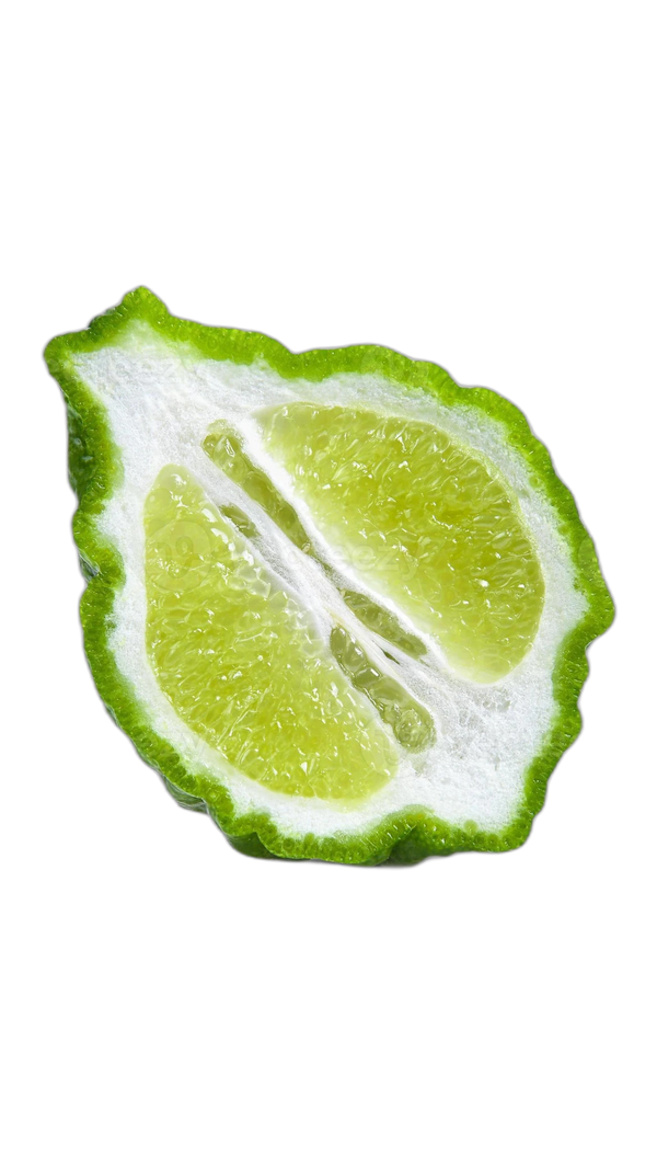 Italian Bergamot