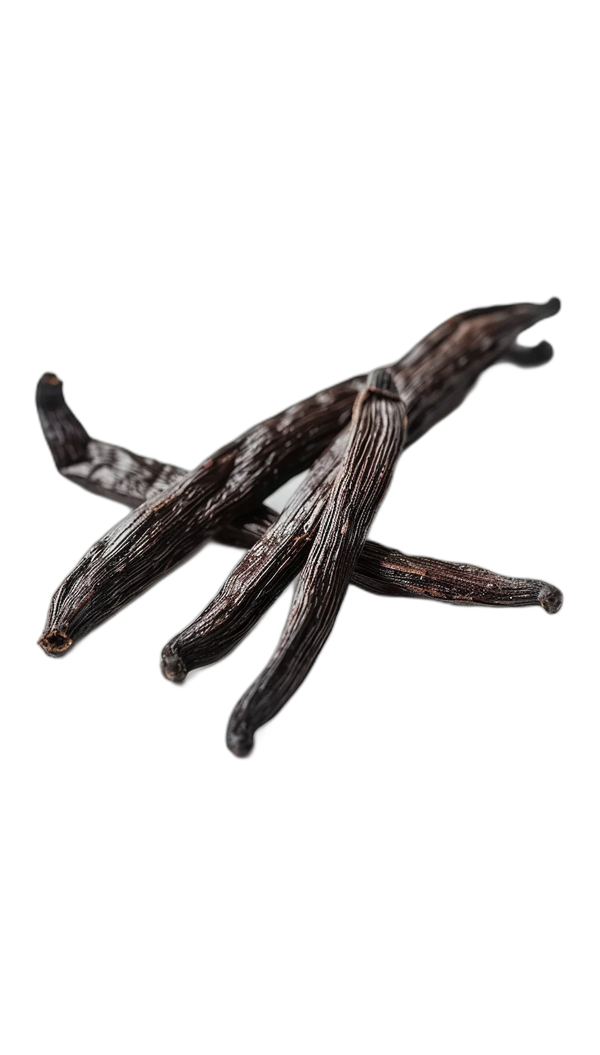 Madagascan Vanilla