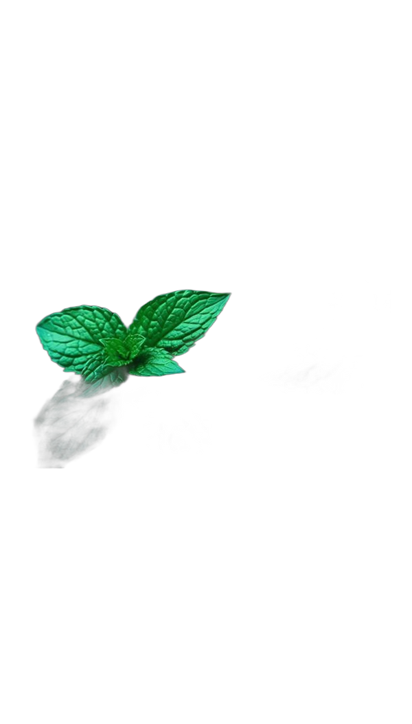 Indian Peppermint